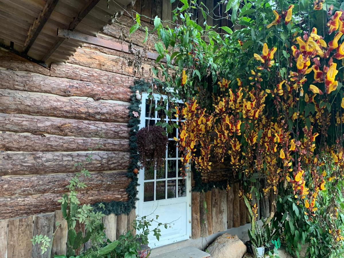 Hoa Son Village Dalat Luaran gambar